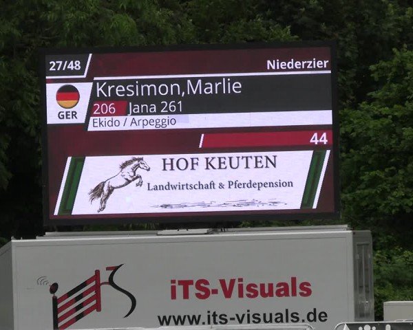 Reitturnier Jülich 2024