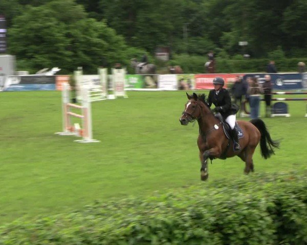 Reitturnier Jülich 2024