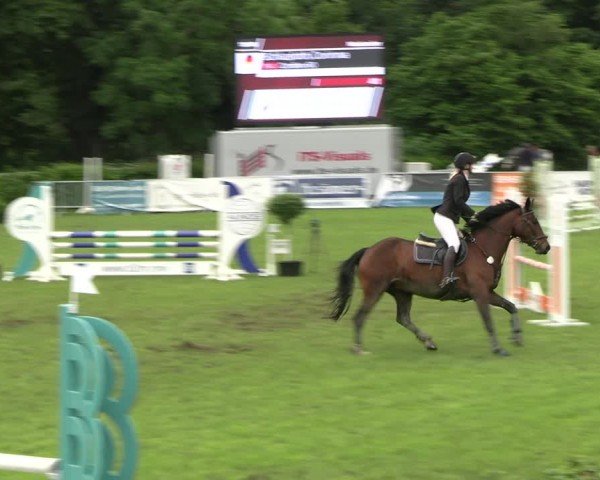 Reitturnier Jülich 2024
