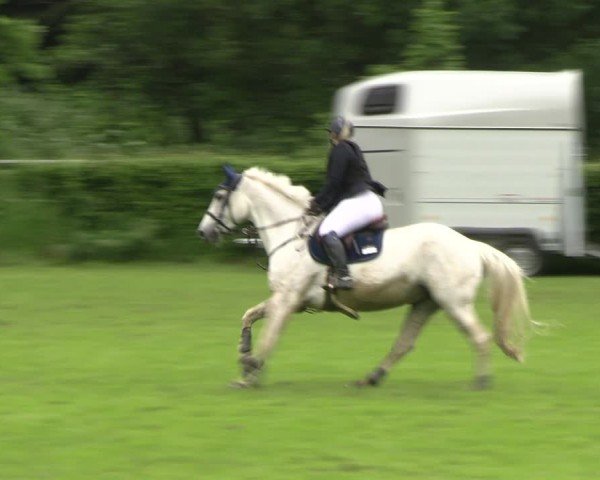 Reitturnier Jülich 2024