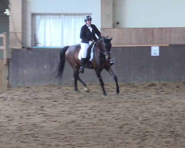 Reitturnier Kakerbeck 2024