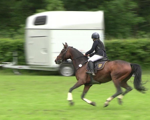 Reitturnier Jülich 2024