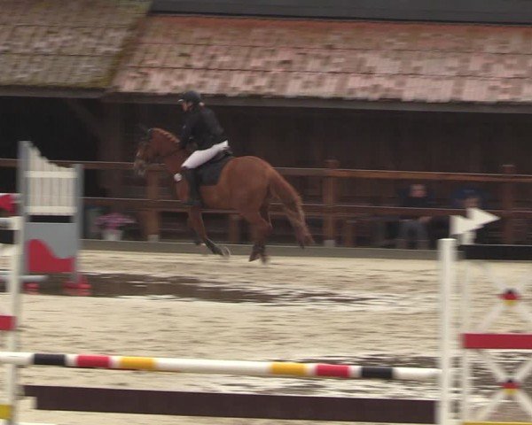 Reitturnier Alvern 2024