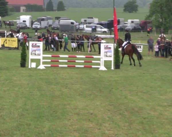 Reitturnier Buckow bei Beeskow (LOS) 2024
