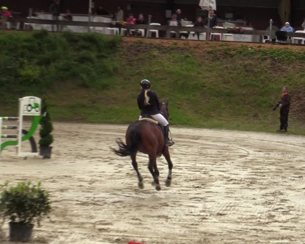 Reitturnier Letmathe 2024