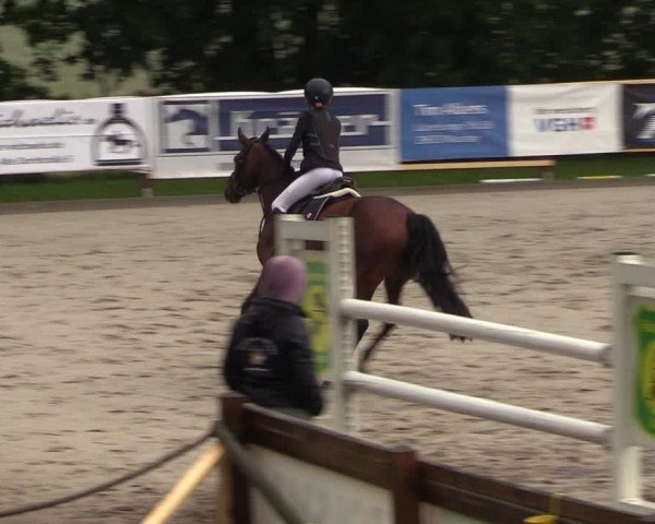 Reitturnier Alvern 2024
