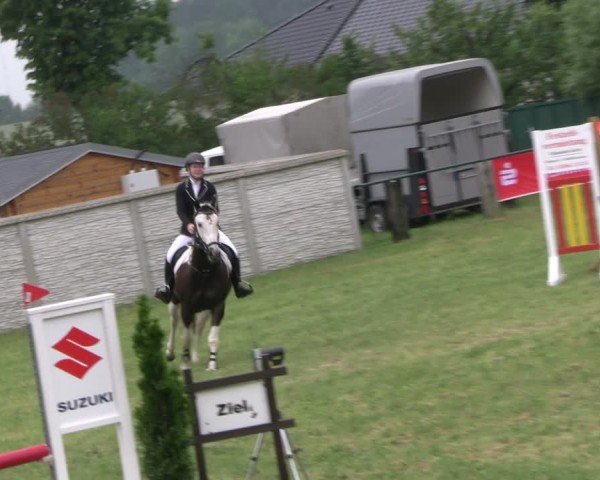 Reitturnier Buckow bei Beeskow (LOS) 2024