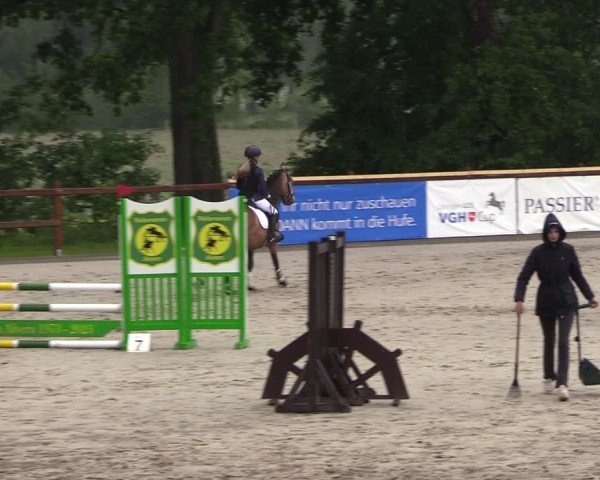 Reitturnier Alvern 2024