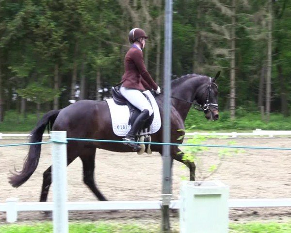 Reitturnier Kellinghusen  2024