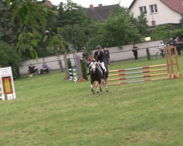 Reitturnier Buckow bei Beeskow (LOS) 2024