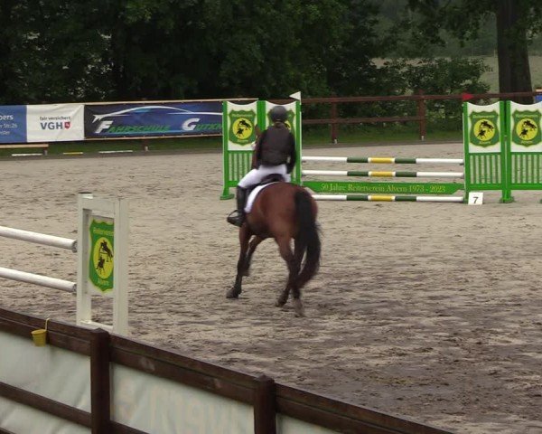 Reitturnier Alvern 2024