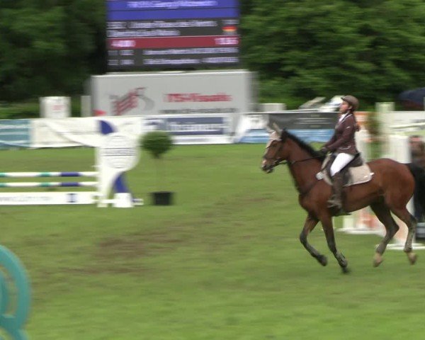 Reitturnier Jülich 2024
