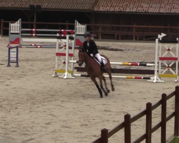 Reitturnier Alvern 2024