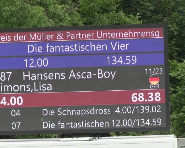 Reitturnier Jülich 2024