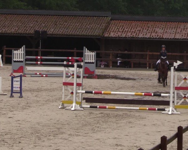 Reitturnier Alvern 2024