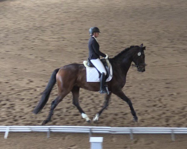 Reitturnier Kakerbeck 2024