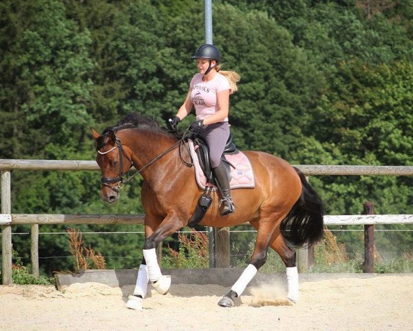 horse Amy - Lee (Rhinelander, 2009, from Alvarino 2)