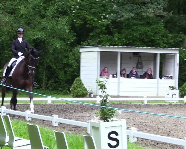 Reitturnier Kellinghusen  2024