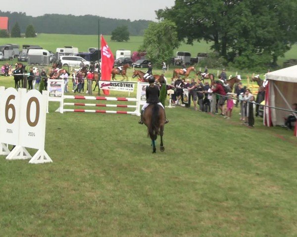 Reitturnier Buckow bei Beeskow (LOS) 2024