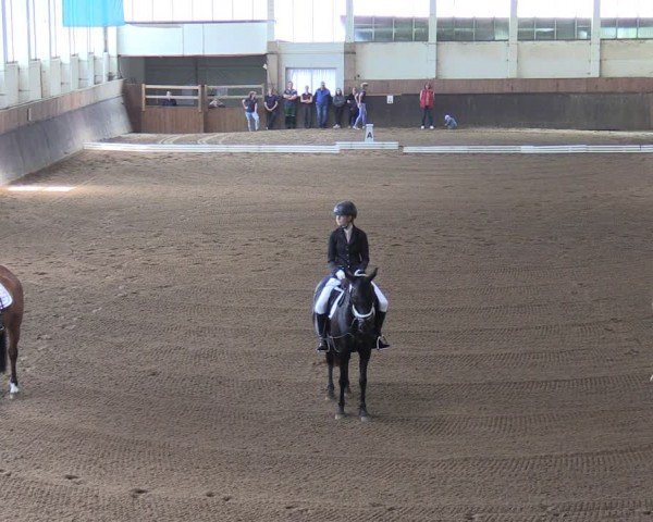 Reitturnier Kakerbeck 2024