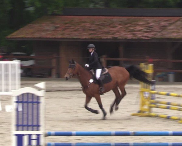 Reitturnier Alvern 2024