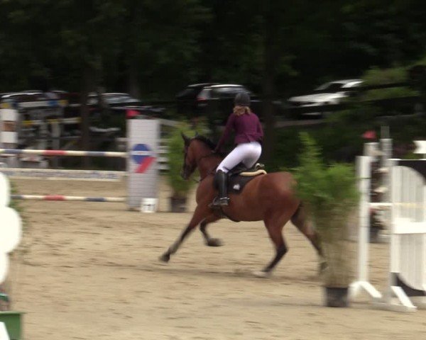 Reitturnier Letmathe 2024