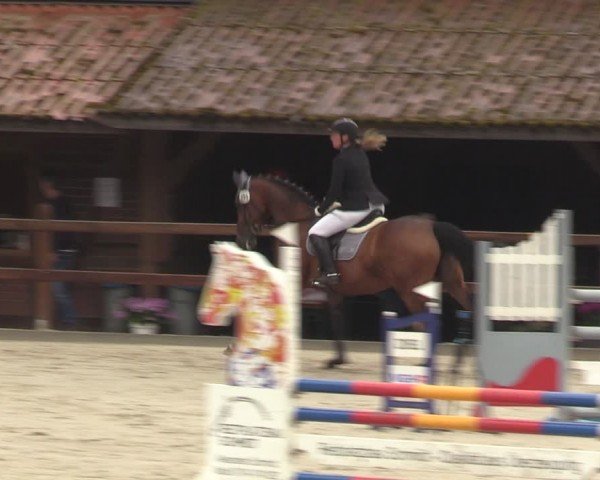 Reitturnier Alvern 2024