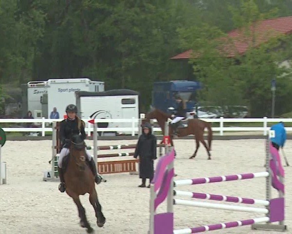 Reitturnier Gut Bohmerhof-Wackersberg/Obb. 2024