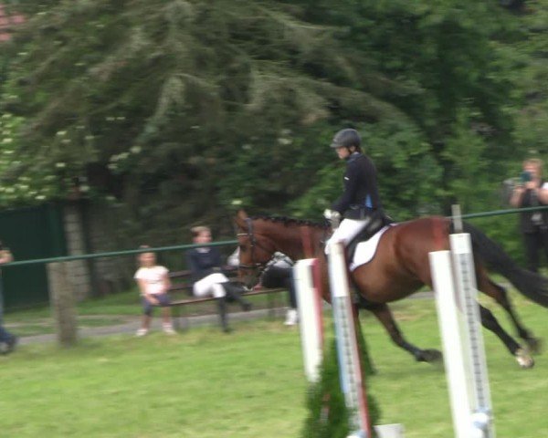 Reitturnier Buckow bei Beeskow (LOS) 2024