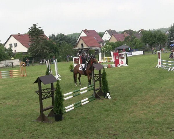 Reitturnier Buckow bei Beeskow (LOS) 2024