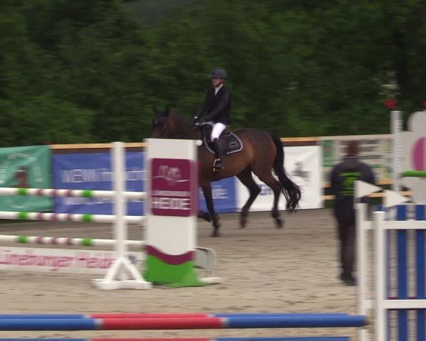 Reitturnier Alvern 2024