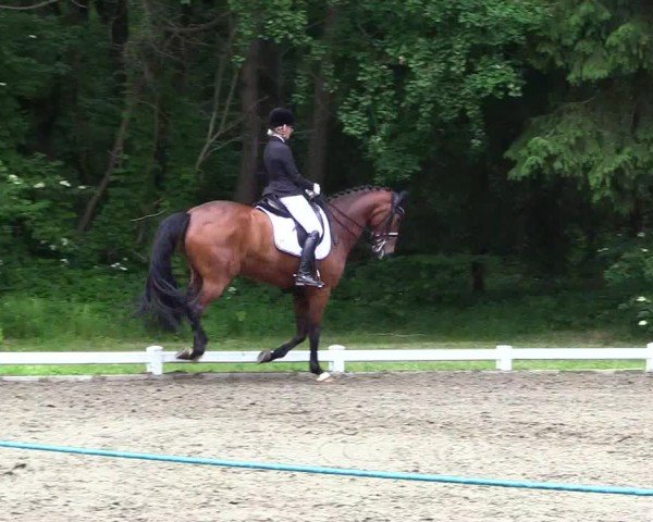 Reitturnier Kellinghusen  2024