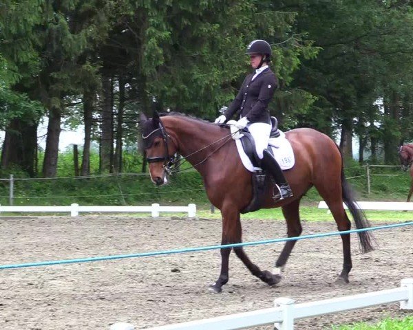 Reitturnier Kellinghusen  2024