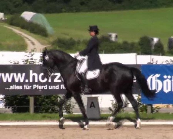 Reitturnier Hof Bettenrode 2012