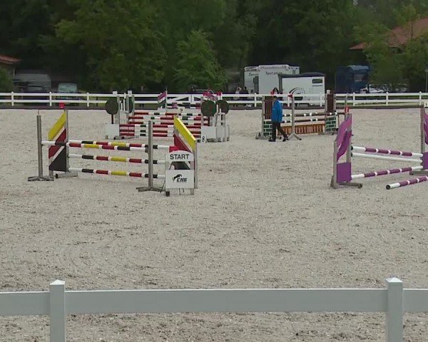 Reitturnier Gut Bohmerhof-Wackersberg/Obb. 2024