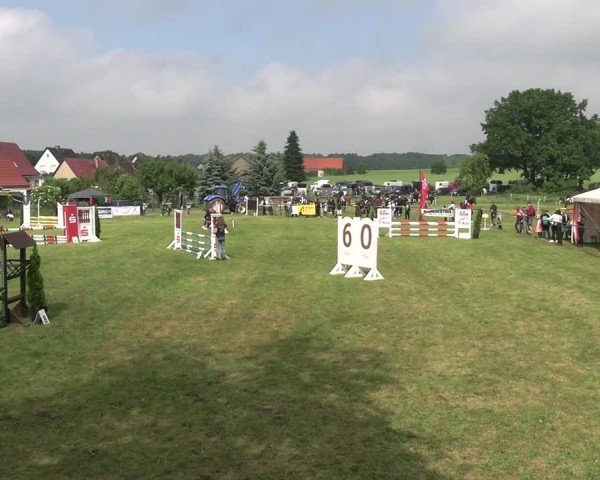 Reitturnier Buckow bei Beeskow (LOS) 2024