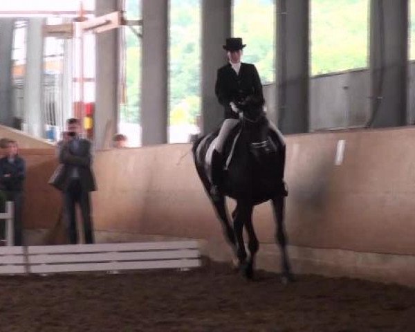 Reitturnier Hof Bettenrode 2012