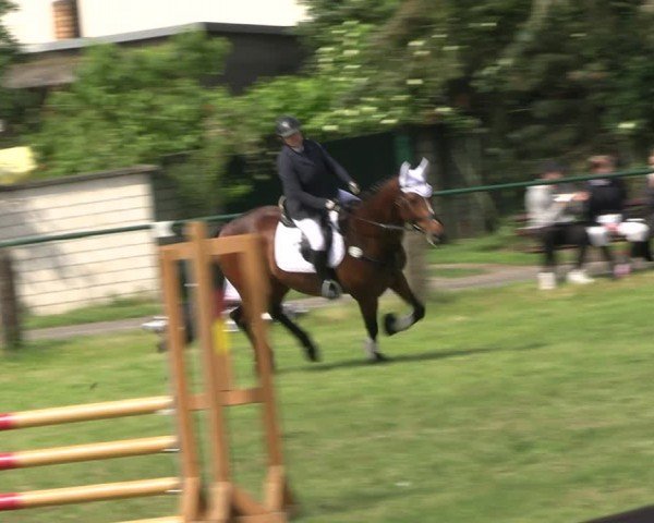 Reitturnier Buckow bei Beeskow (LOS) 2024