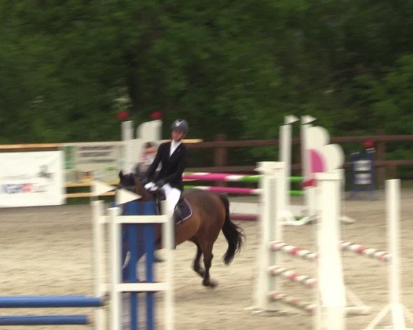 Reitturnier Alvern 2024