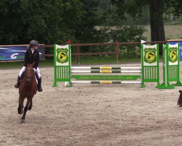 Reitturnier Alvern 2024