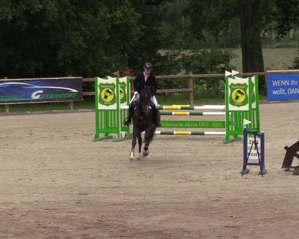 Reitturnier Alvern 2024