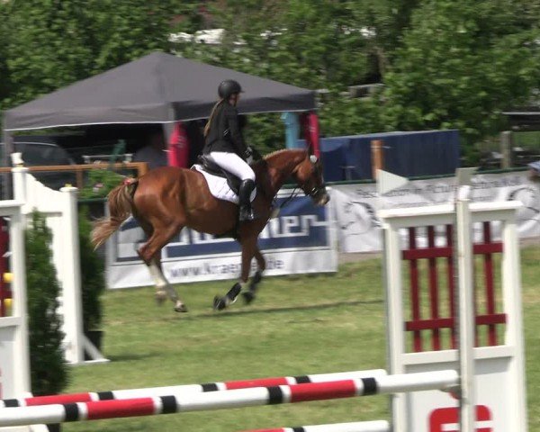 Reitturnier Buckow bei Beeskow (LOS) 2024
