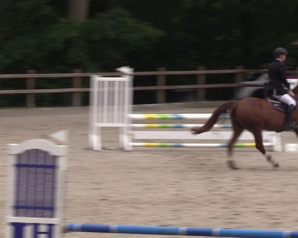 Reitturnier Alvern 2024