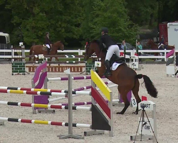 Reitturnier Gut Bohmerhof-Wackersberg/Obb. 2024