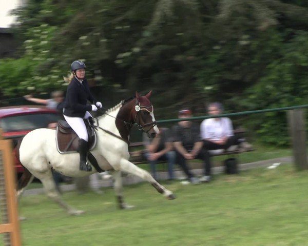 Reitturnier Buckow bei Beeskow (LOS) 2024