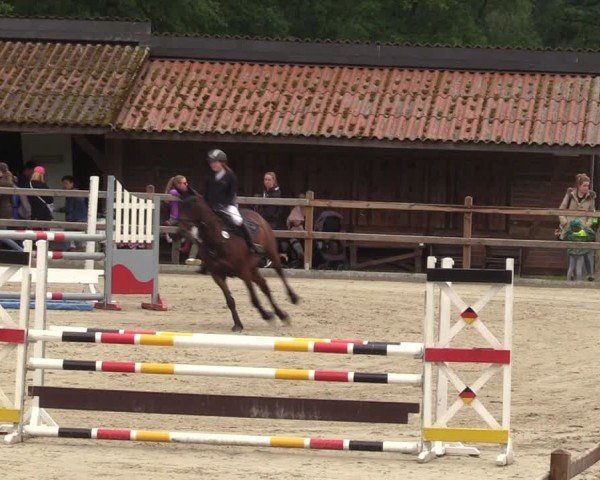 Reitturnier Alvern 2024
