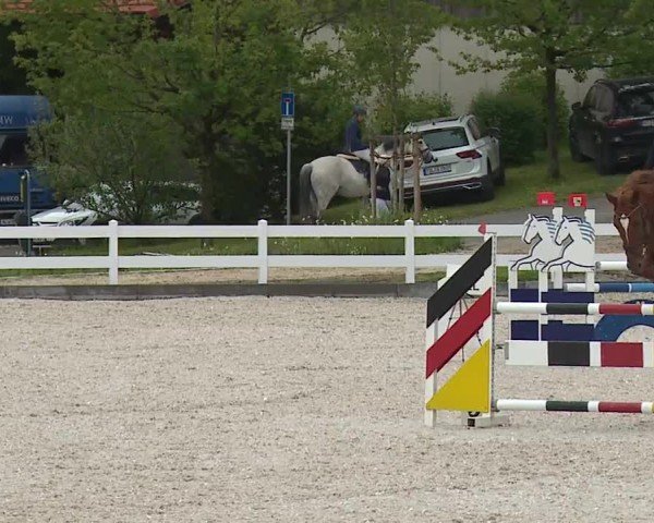 Reitturnier Gut Bohmerhof-Wackersberg/Obb. 2024