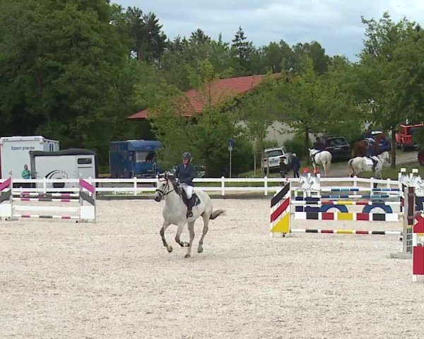Reitturnier Gut Bohmerhof-Wackersberg/Obb. 2024