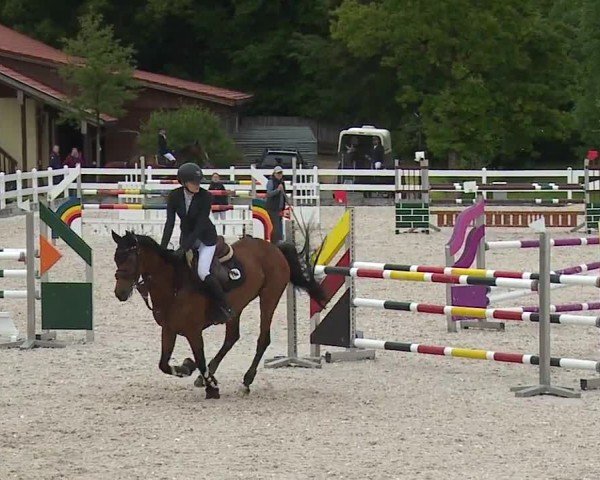 Reitturnier Gut Bohmerhof-Wackersberg/Obb. 2024