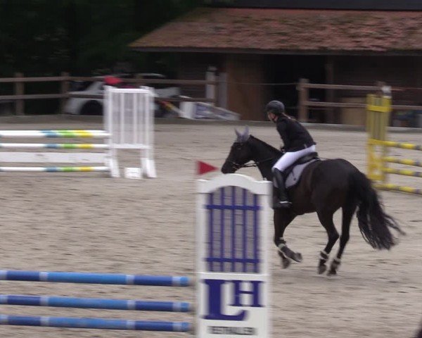 Reitturnier Alvern 2024